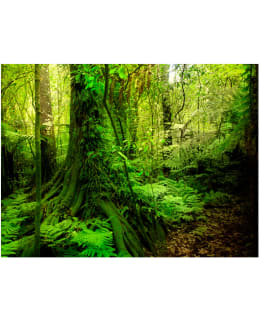 Artgeist A1-LFTNT0191 FOTOTAPETTI Main Image