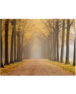 Artgeist A1-XXLFTNT0198 FOTOTAPETTI Main Image