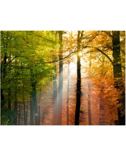 Artgeist A1-LFTNT0199 FOTOTAPETTI Main Image