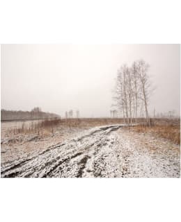 Artgeist A1-4XLFTNT0200 FOTOTAPETTI Main Image