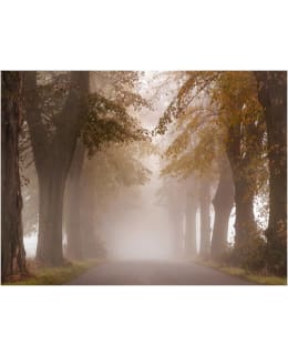 Artgeist A1-4XLFTNT0390 FOTOTAPETTI Main Image