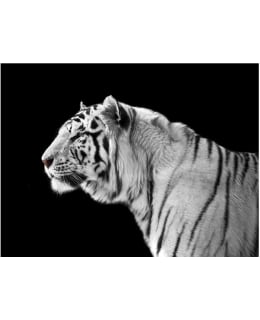 Artgeist A1-XXLFTNT0398 FOTOTAPETTI Main Image