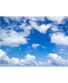 Artgeist A1-4XLFTNT0896 FOTOTAPETTI Main Image