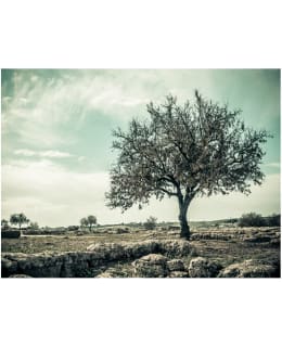 Artgeist A1-FTNT0897 FOTOTAPETTI Main Image