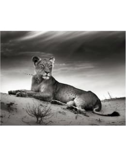 Artgeist A1-XXLFTNT0899 FOTOTAPETTI Main Image