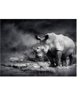 Artgeist A1-XLFTNT0901 FOTOTAPETTI Main Image