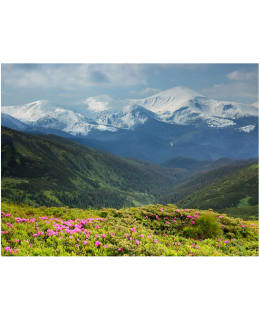 Artgeist A1-LFTNT0902 FOTOTAPETTI Main Image