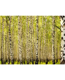 Artgeist A1-FTNT0917 FOTOTAPETTI Main Image