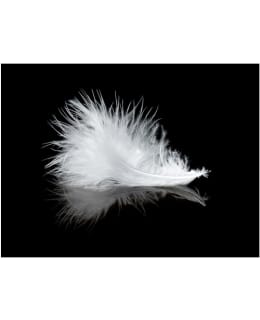 Artgeist A1-XXLFTNT0923 FOTOTAPETTI Main Image