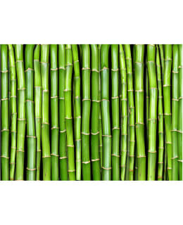 Artgeist A1-LFTNT0928 FOTOTAPETTI Main Image