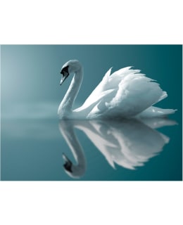 Artgeist A1-XLFTNT0942 FOTOTAPETTI Main Image