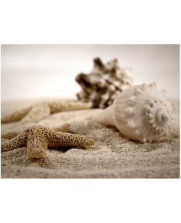 Artgeist A1-4XLFTNT0944 FOTOTAPETTI Main Image