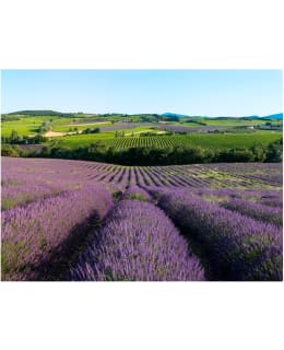 Artgeist A1-4XLFTNT0948 FOTOTAPETTI Main Image