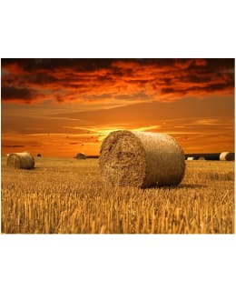 Artgeist A1-4XLFTNT0951 FOTOTAPETTI Main Image