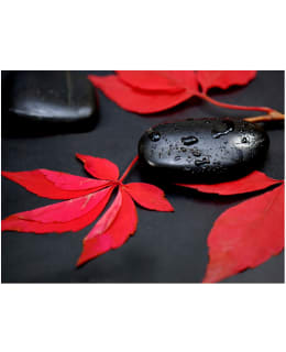 Artgeist A1-FTNT0952 FOTOTAPETTI Main Image