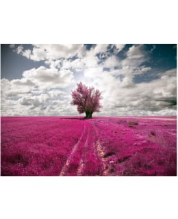 Artgeist A1-XLFTNT0954 FOTOTAPETTI Main Image