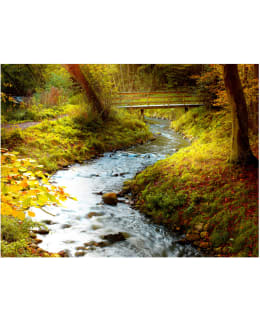 Artgeist A1-XLFTNT0956 FOTOTAPETTI Main Image