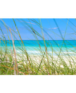 Artgeist A1-FTNT1530 FOTOTAPETTI Main Image