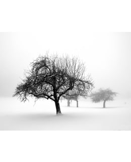 Artgeist A1-XLFTNT0962 FOTOTAPETTI Main Image