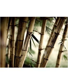 Artgeist A1-LFTNT0963 FOTOTAPETTI Main Image