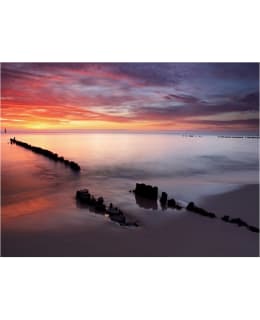 Artgeist A1-4XLFTNT0965 FOTOTAPETTI Main Image