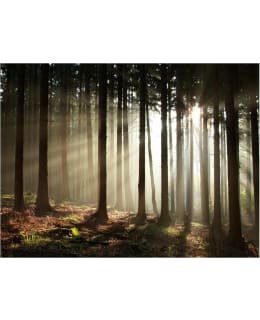 Artgeist A1-XXLFTNT0966 FOTOTAPETTI Main Image