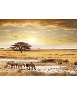 Artgeist A1-XXLFTNT0971 FOTOTAPETTI Main Image