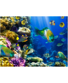 Artgeist A1-LFTNT0972 FOTOTAPETTI Main Image