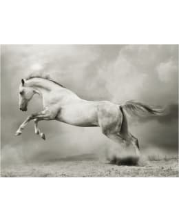 Artgeist A1-XLFTNT0973 FOTOTAPETTI Main Image