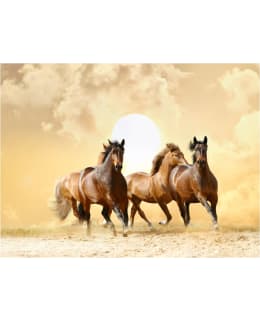 Artgeist A1-XXLFTNT0976 FOTOTAPETTI Main Image