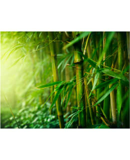 Artgeist A1-LFTNT0980 FOTOTAPETTI Main Image