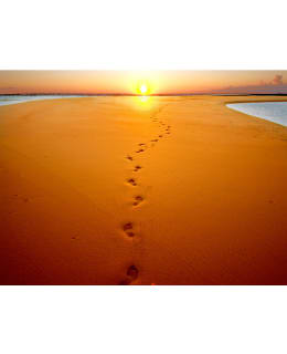 Artgeist A1-XXLFTNT0982 FOTOTAPETTI Main Image