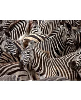 Artgeist A1-XXLFTNT0986 FOTOTAPETTI Main Image