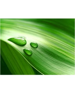 Artgeist A1-XXLFTNT0989 FOTOTAPETTI Main Image