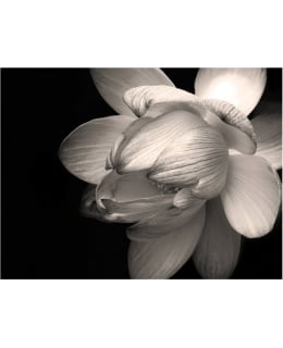 Artgeist A1-FTNT0991 FOTOTAPETTI Main Image