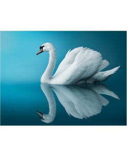 Artgeist A1-XLFTNT0999 FOTOTAPETTI Main Image