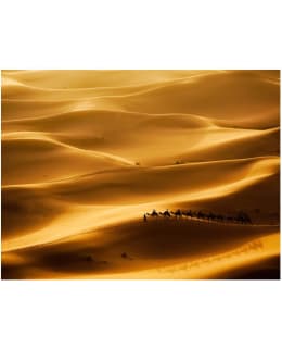 Artgeist A1-FTNT1003 FOTOTAPETTI Main Image