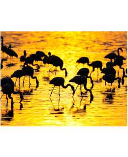 Artgeist A1-XXLFTNT1005 FOTOTAPETTI Main Image