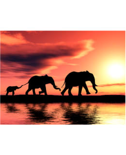 Artgeist A1-4XLFTNT1011 FOTOTAPETTI Main Image