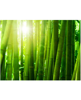 Artgeist A1-XLFTNT1012 FOTOTAPETTI Main Image