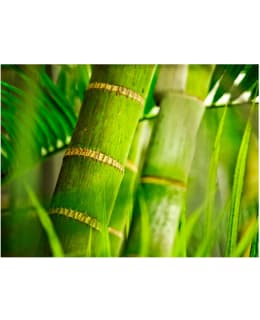 Artgeist A1-4XLFTNT1016 FOTOTAPETTI Main Image