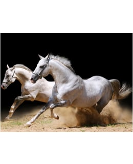 Artgeist A1-XLFTNT1017 FOTOTAPETTI Main Image