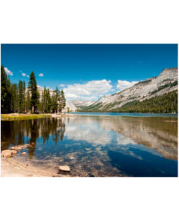 Artgeist A1-XXLFTNT1018 FOTOTAPETTI Main Image