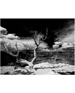 Artgeist A1-XXLFTNT1021 FOTOTAPETTI Main Image