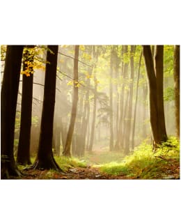 Artgeist A1-LFTNT1022 FOTOTAPETTI Main Image