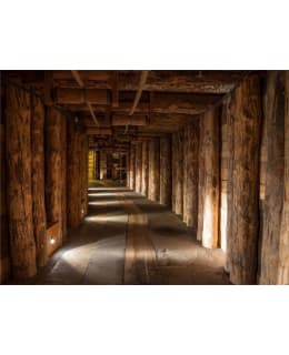 Artgeist A1-4XLFTNT1077 FOTOTAPETTI Main Image