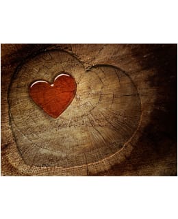 Artgeist A1-XLFTNT1179 FOTOTAPETTI Main Image