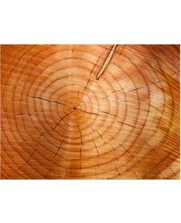 Artgeist A1-LFTNT1199 FOTOTAPETTI Main Image