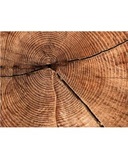 Artgeist A1-4XLFTNT1213 FOTOTAPETTI Main Image