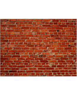 Artgeist A1-XXLFTNT1216 FOTOTAPETTI Main Image